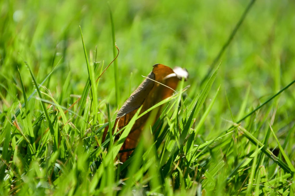 SGLamrim 19 Sep 2019