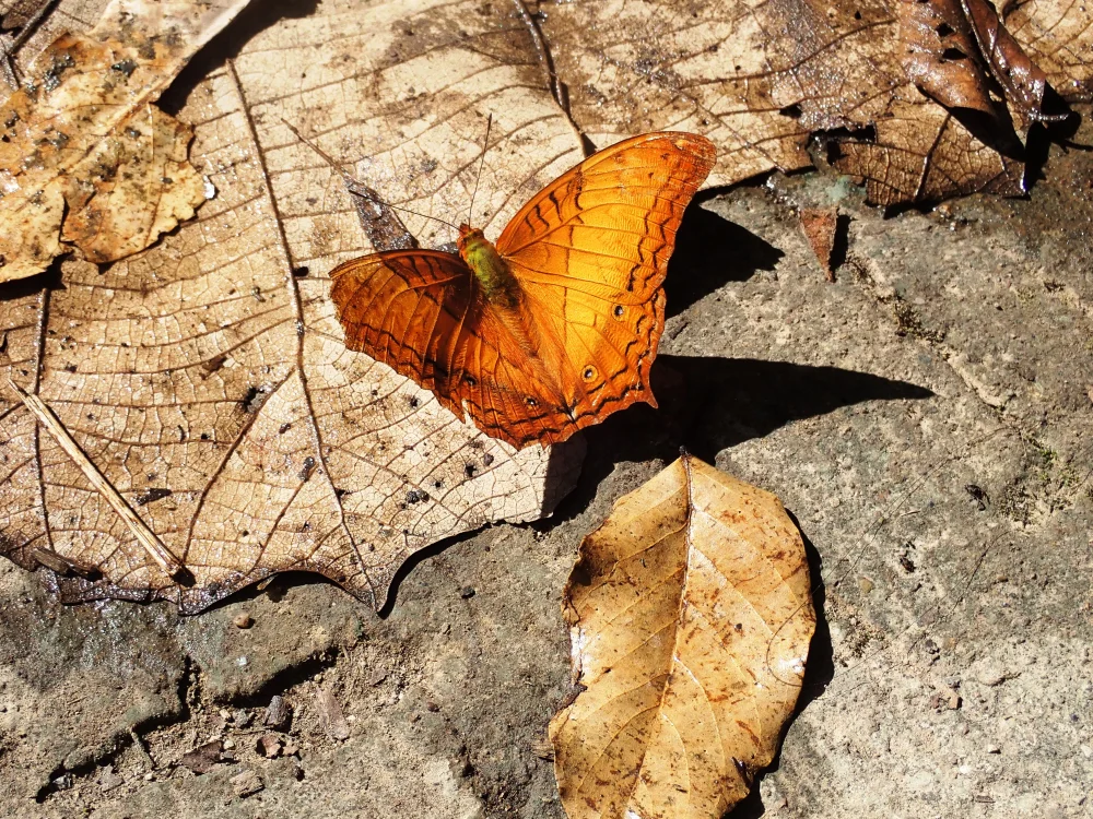 Love Others More Than Ourselves