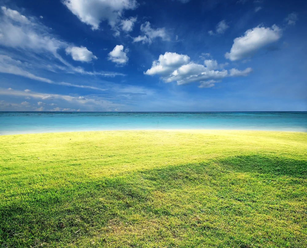 There is Gold Everywhere