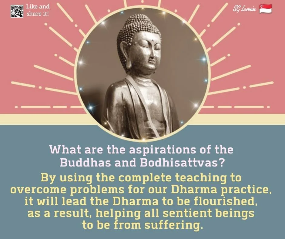 What are the aspirations of the Buddhas and Bodhisattvas?