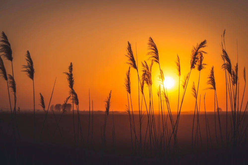 SGLamrim 12 Nov 2019