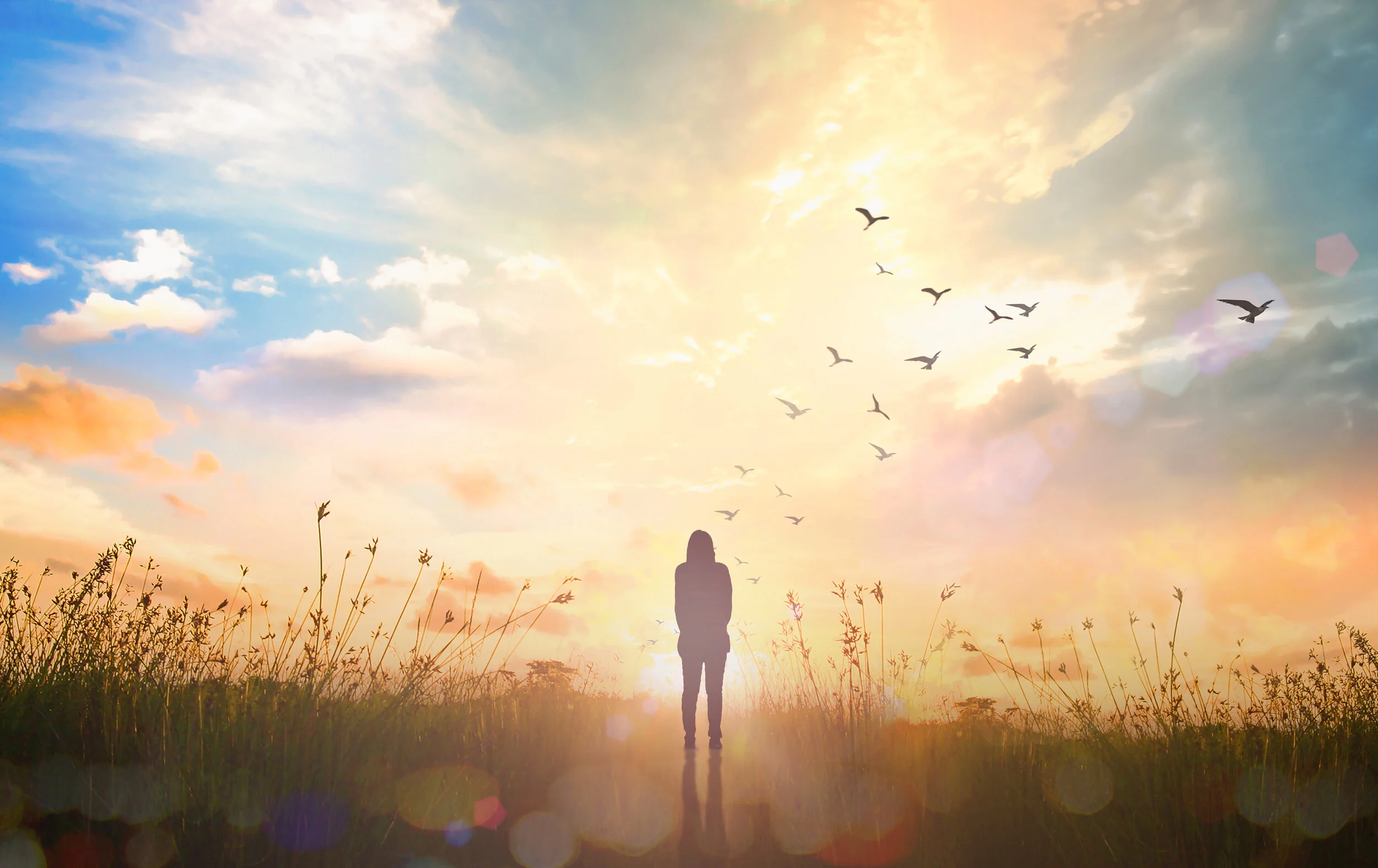 【The Meditation Session – what to do in between sessions 修持轨理 - 未修中间】Acting with vigilance - five actions of activity in a temple 2正知而行-五受用业2