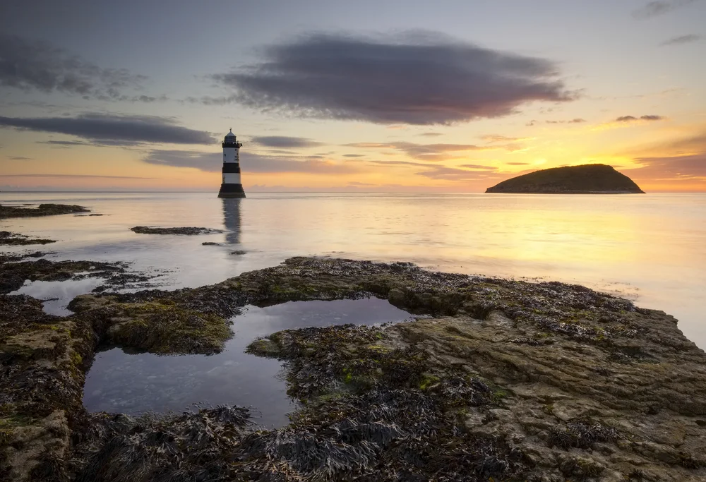 What Is the most beautiful thing in life?