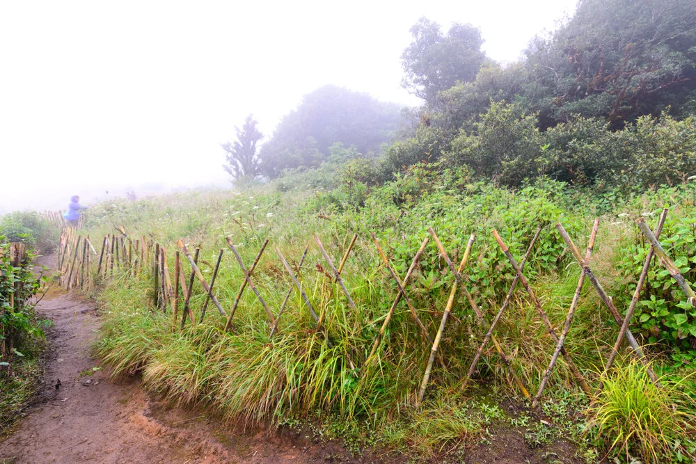 What Is The Most Beautiful Thing In Life?