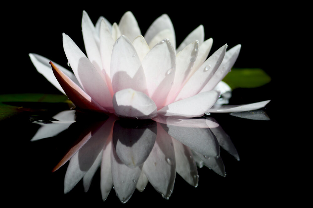 【The Meditation Session – what to do in between sessions 修持轨理 - 未修中间】What taught by Buddha is the source 佛说为根据