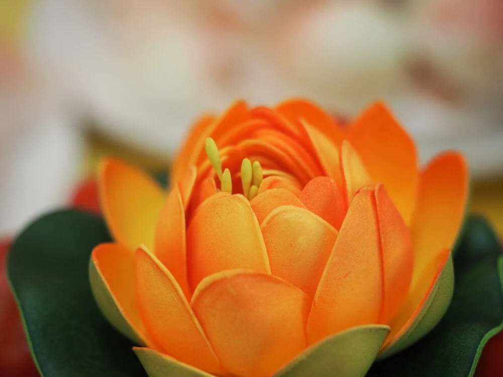 【The Meditation Session – what to do in between sessions 修持轨理 - 未修中间】Appropriate diet – Remedy for craving foods 饮食知量-对治爱着