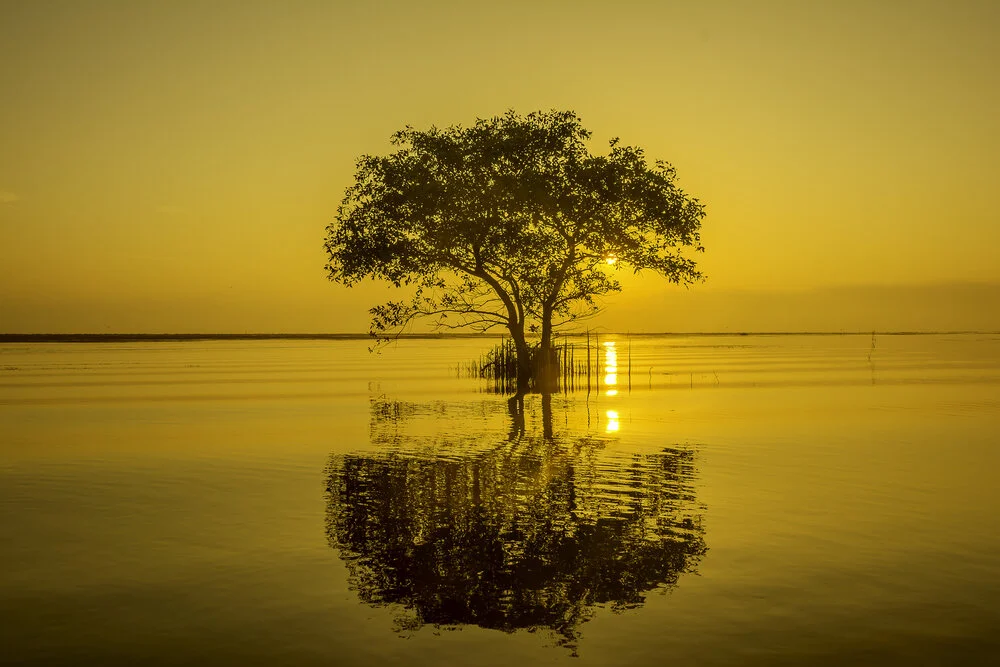 SGLamrim 13 Jan 2020