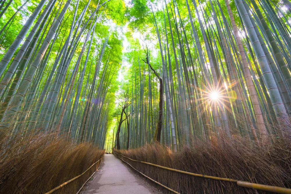 【Refuting Misconceptions About Meditation 破除此中邪妄分别】Eliminate our misconceptions 去除心中的邪执