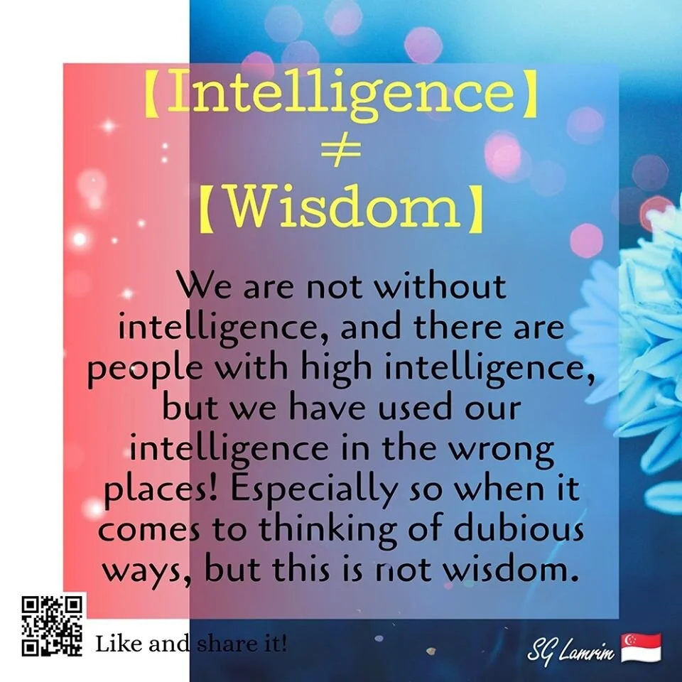 Intelligence ≠ Wisdom