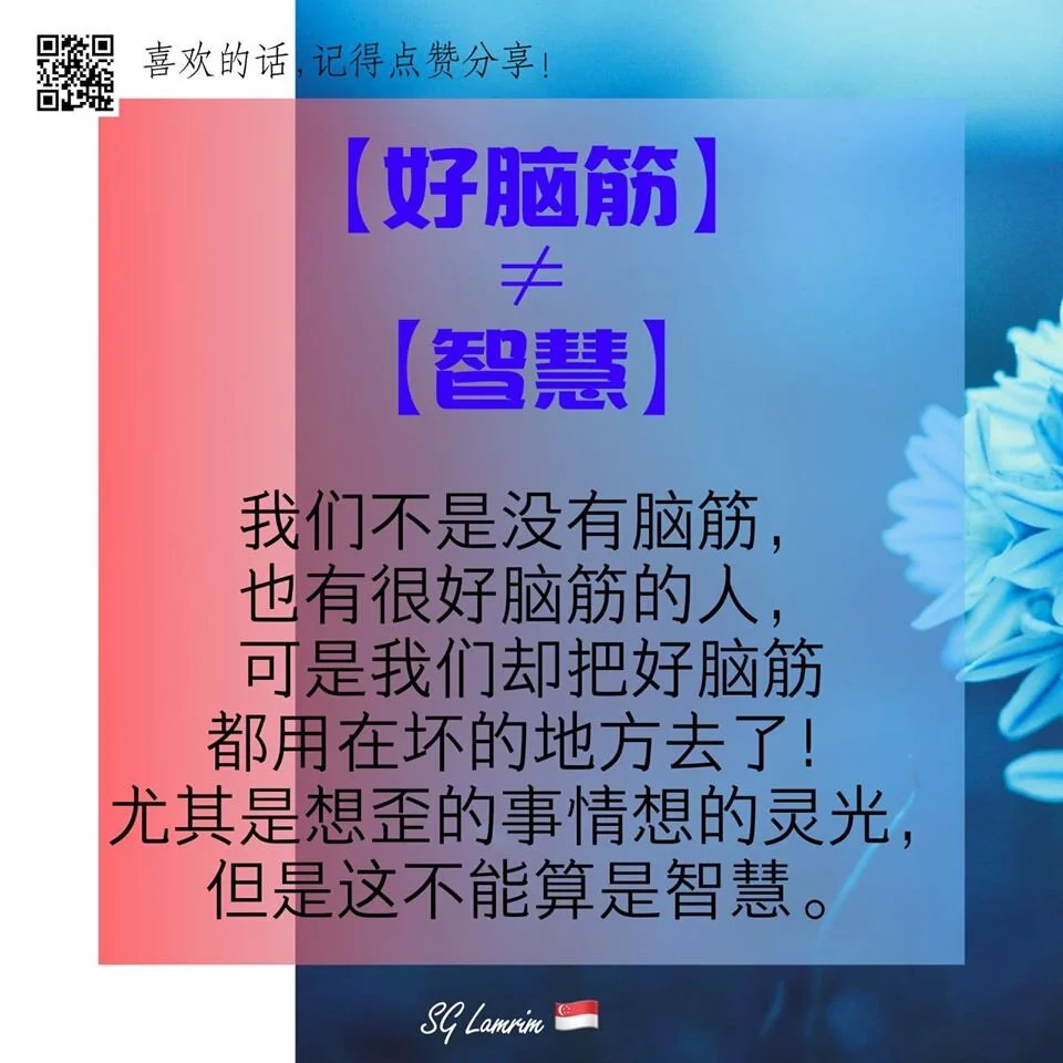 好脑筋 ≠ 智慧