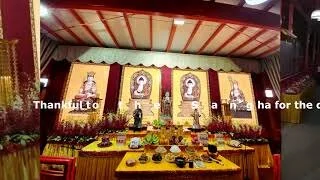 Thankful to the Sangha for the Daily Prayers!