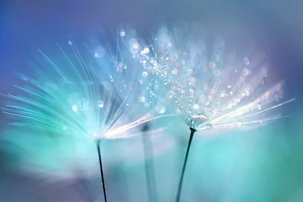 【Human Life of Leisure and Opportunity 暇满】 The human life that is difficult to attain even in ten million eons 经俱胝劫亦难获的人身