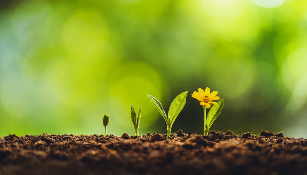 【Human Life of Leisure and Opportunity 暇满】The supreme seed of glorious enlightenment. Human life is a stream of good qualities better than a wish-granting jewel 妙菩提胜种，胜于如意珠