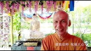 释迦牟尼佛圣诞日 吉祥宝聚寺道慈法师 祝福大众