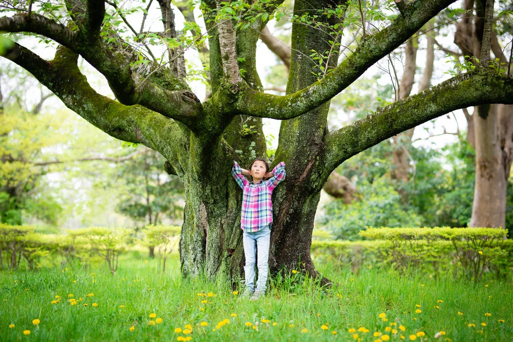 【Human Life of Leisure and Opportunity 暇满】Achieving happiness and alleviating suffering depend only on practicing the teachings 引乐除苦唯依赖于正法   