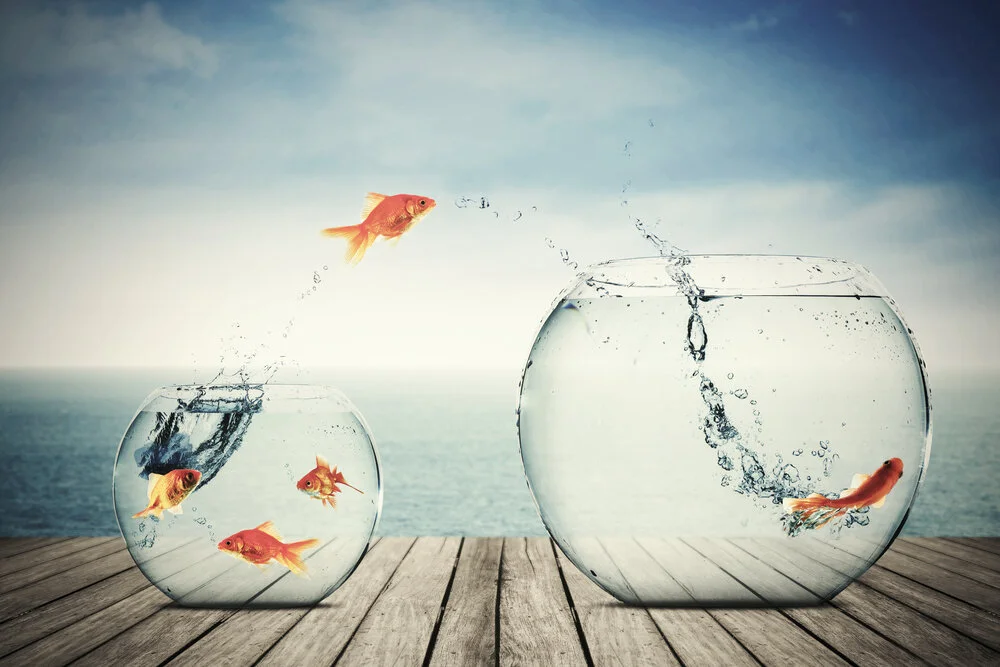 【Human Life of Leisure and Opportunity 暇满】Reflect on this human life of leisure and opportunity from many perspectives, it will greatly affect your mind 由种种门中正思惟者，变心力大