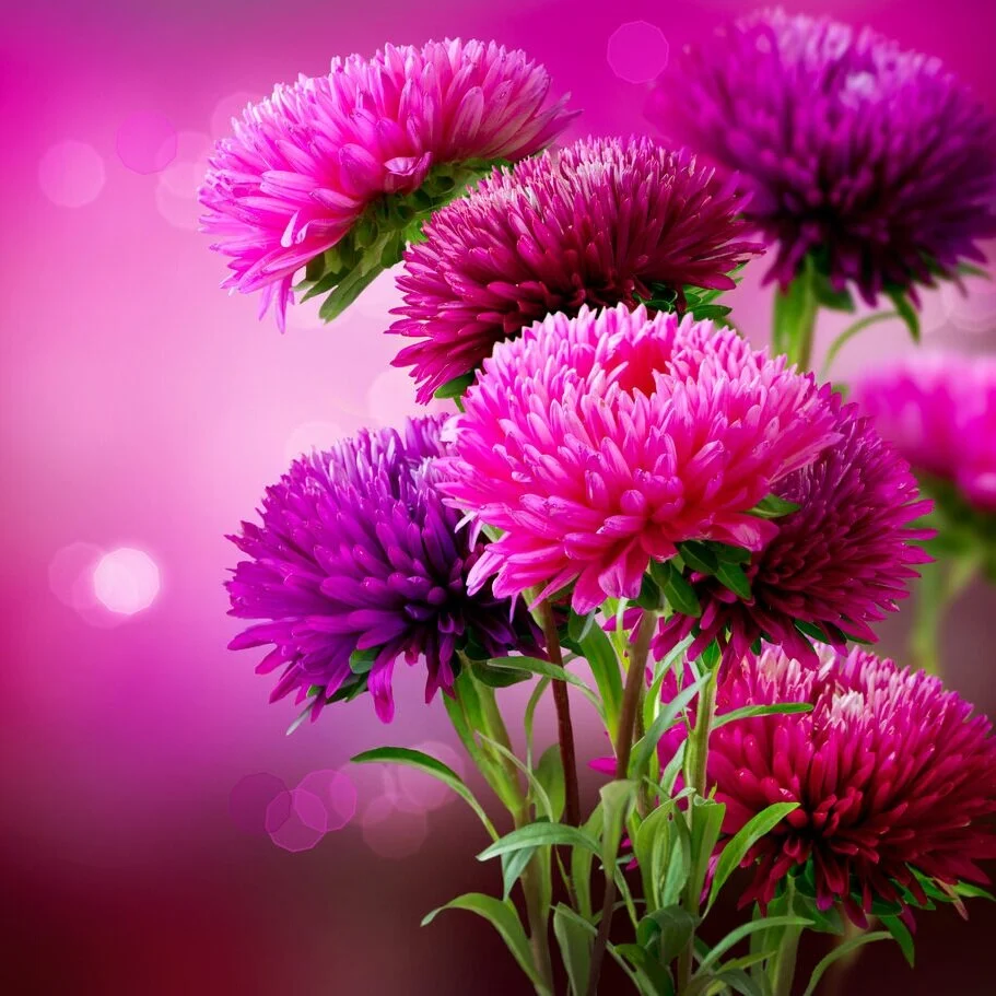 【Human Life of Leisure and Opportunity 暇满】a special life of leisure is very rare 如果真正的如法地修持过