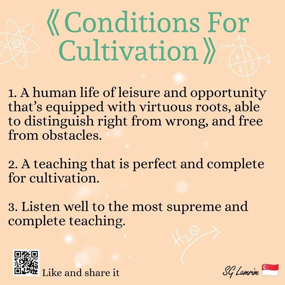 Conditions For Cultivation