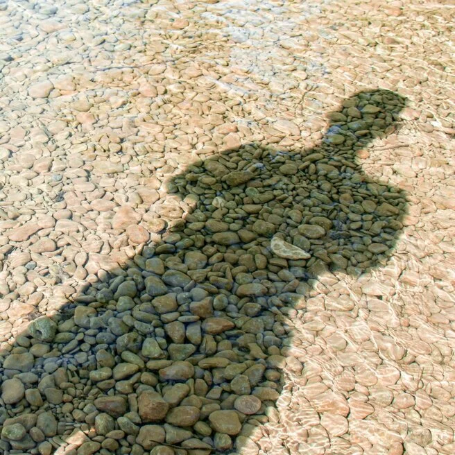 【 The Three Types of Persons 道次引导】carry one’s karmic debt to next rebirth 带业往生