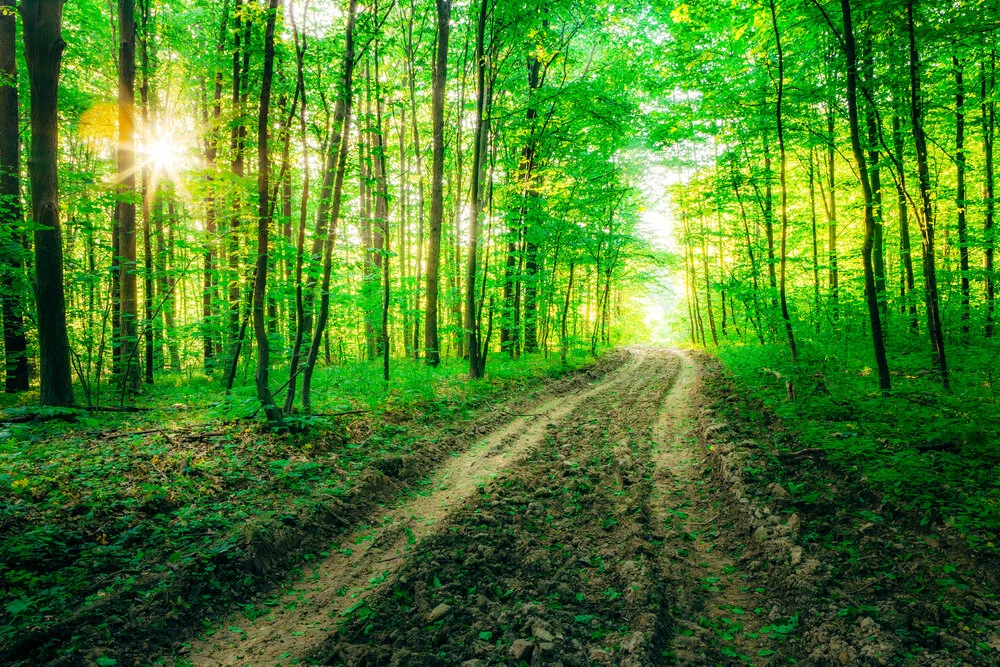 【 The Three Types of Persons 道次引导】Absolutely must take the correct and most direct path  确实要走最正确直接的路