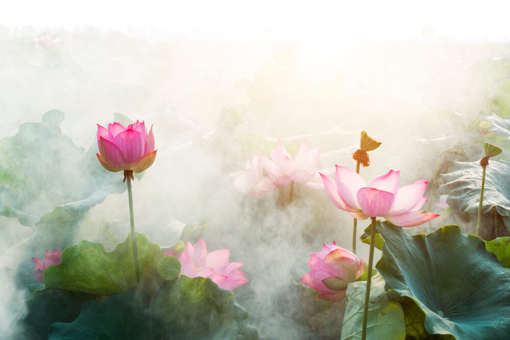 【The Three Types of Persons 道次引导】Accomplish the twofold welfare of living beings 成办有情二利益