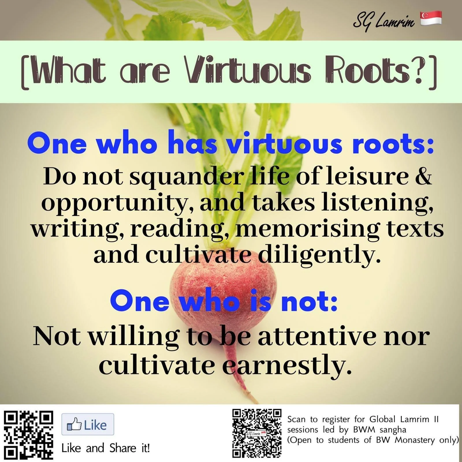 What are Virtuous Roots?