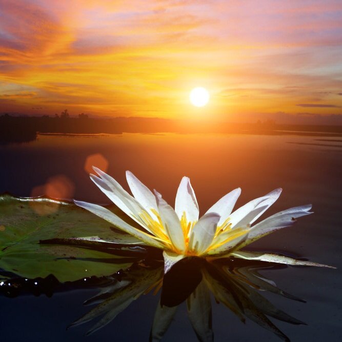 【The Three Types of Persons 道次引导】the Bodhi Aspiration (spirit of enlightenment)  菩提愿体