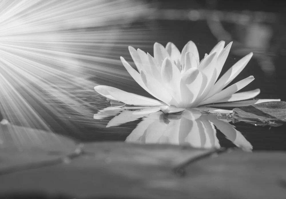 【The Three Types of Persons 道次引导】first meditate on the laudable benefits of the aspiration I 先修发心胜利I