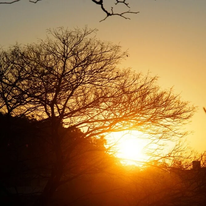 【The Three Types of Persons 道次引导】 supreme spirit of enlightenment  大慈大悲I