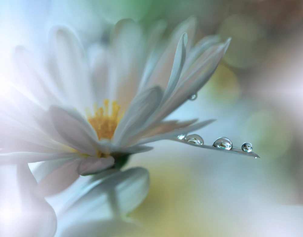 【The Three Types of Persons 道次引导】 Apply Bodhisattva deeds  修菩萨行