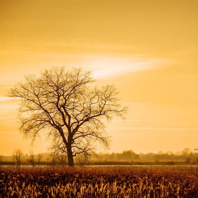 【The Three Types of Persons 道次引导】At the risk of your life, avoid being polluted by the root infractions 宁舍生命，不犯根本戒