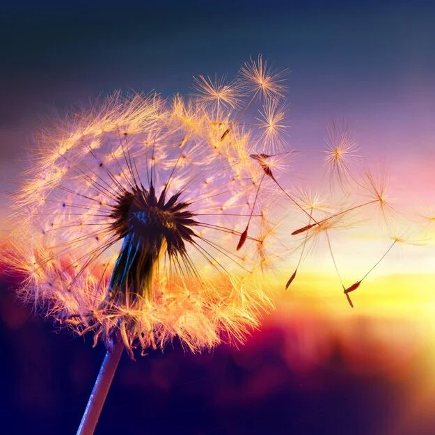 【The Three Types of Persons 道次引导】After developing this aspiration of the spirit of enlightenment 发了愿心后