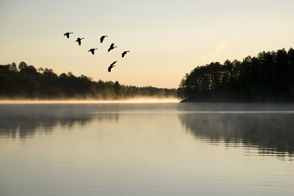 【The Three Types of Persons 道次引导】The royal geese, the conquerors’ children, spread their two winds and fly across the great ocean of a Buddha’s good qualities 佛子鹅王双翅度越佛功德大海