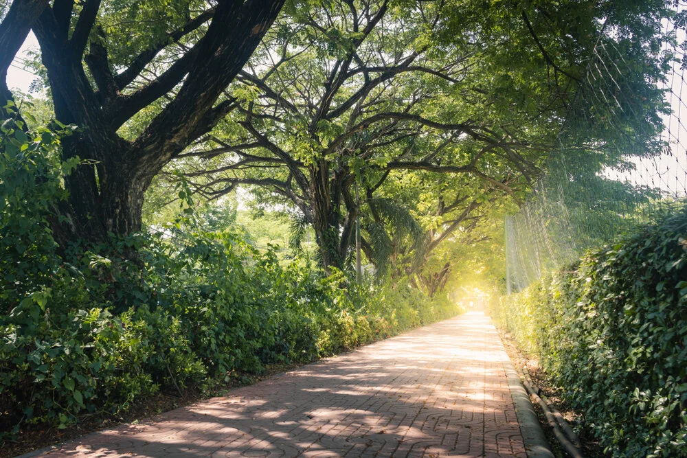 【The Three Types of Persons 道次引导】As long as the first step is right 只要下脚第一步走对