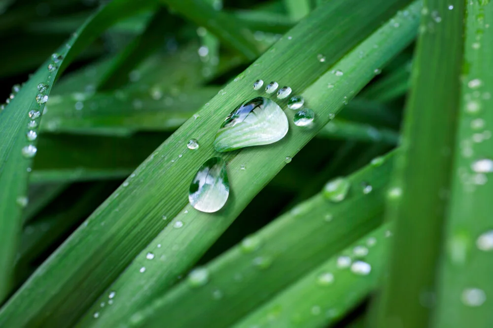【The Three Types of Persons 道次引导】To advance , it has to be strengthened from the lower paths   脚踏实地从最下走起
