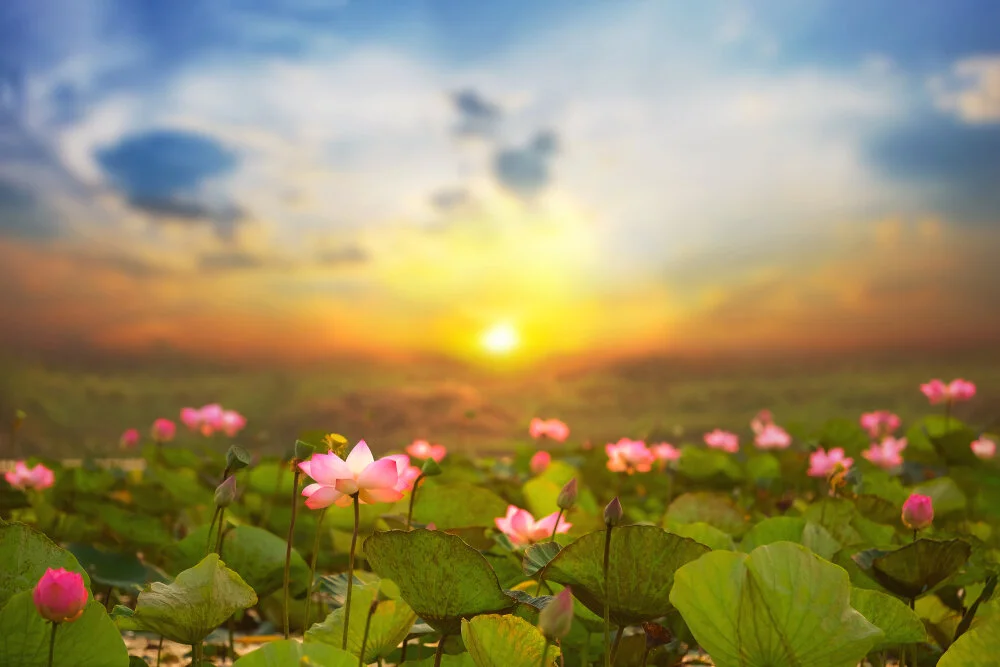 【The Three Types of Persons 道次引导】Will you be able to go to the Pure Land?  极乐世界去不去得成？