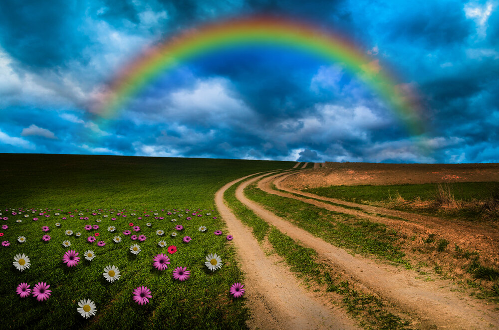 【Mindfulness of Death 念死无常】 What is “The actual way to take full advantage of a life of leisure and opportunity”? 什么才是“正取心要”？