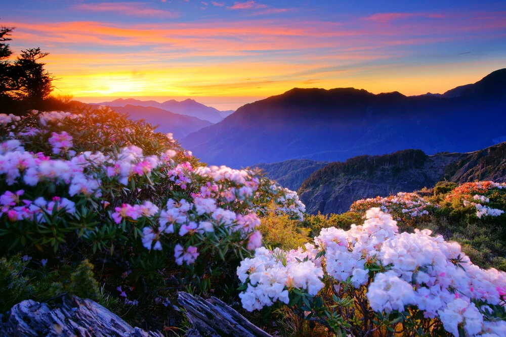 【Mindfulness of Death 念死无常】you will continue to think that you will remain in this life 久住现法之心      