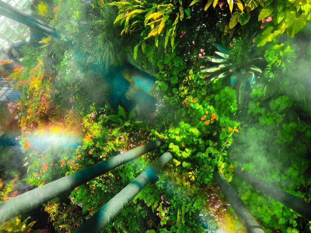 【Mindfulness of Death 念死无常】 These virtuous activities not to be mixed with causes of miserable rebirths. 】  不糅杂恶趣因的修法，难能可贵   