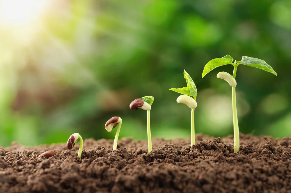 【Mindfulness of Death 念死无常】The proper stages of cultivation 正规的修行次第             
