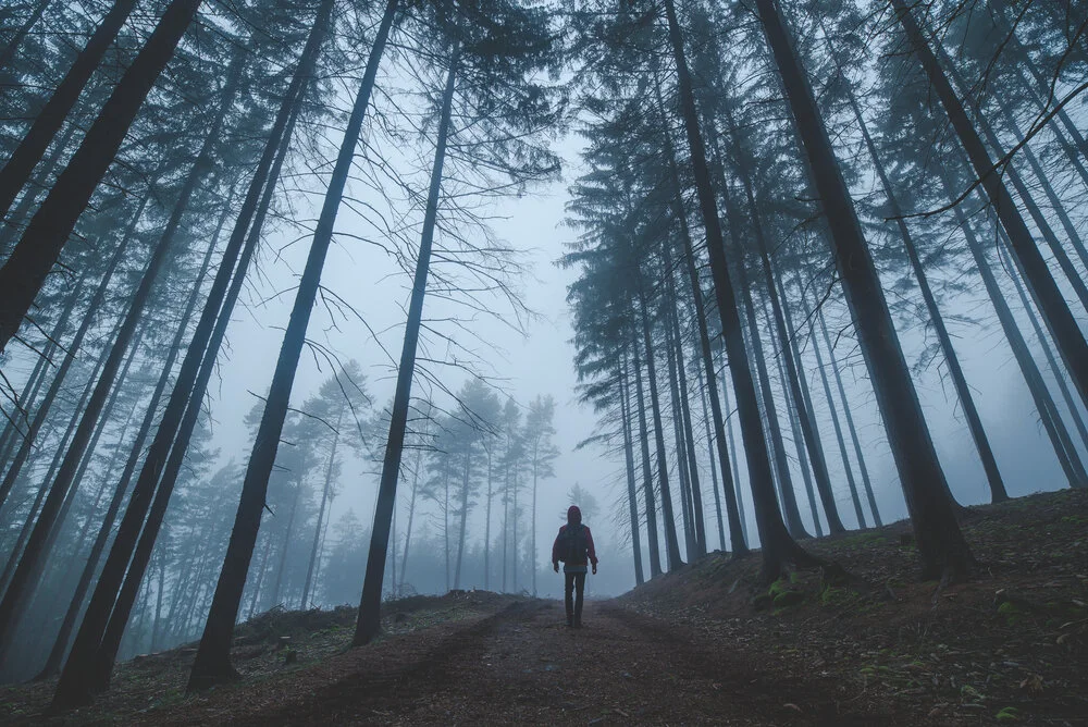 【Mindfulness of Death 念死无常】Throw away the map and run towards other direction 丢掉地图向别处跑