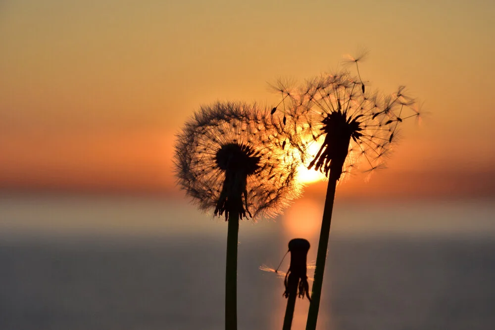 【Mindfulness of Death 念死无常】Firmly Stabilize the Cultivation of Mindfulness of Death  要把念死修得很稳固           
