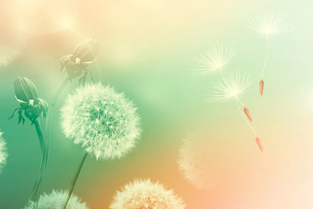 【Mindfulness of Death 念死无常】Noble beings would leave their bodies. How about us? 圣者尚须舍此身，何况我们？                
