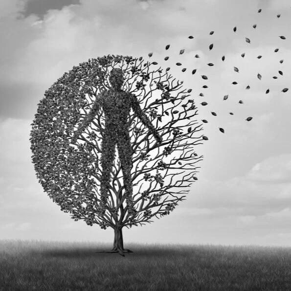 【Mindfulness of Death 念死无常】 Lifetime is always decreasing  寿命一直在减短