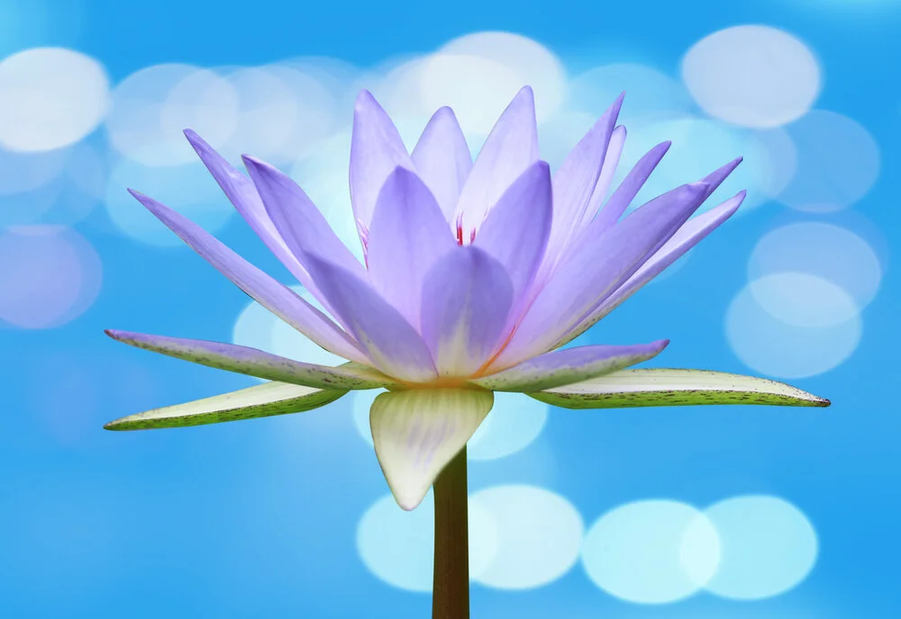 【Mindfulness of Death 念死无常】Not more than five years are left to devote to the teachings 余能修法，尚无五载