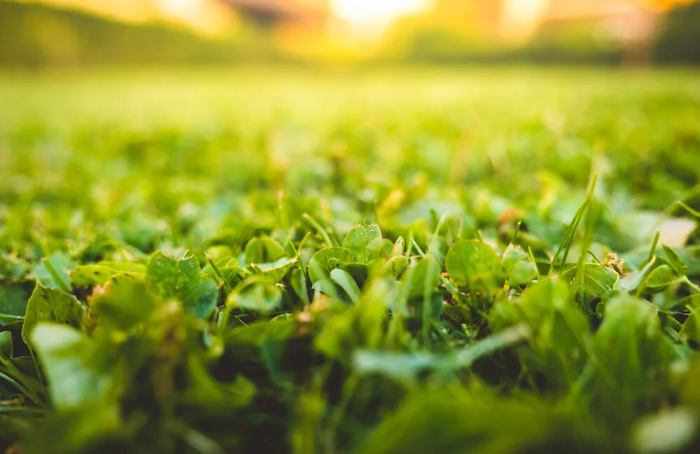 【Mindfulness of Death 念死无常】the 1st root : death is certain  第一个根本：决定要死          