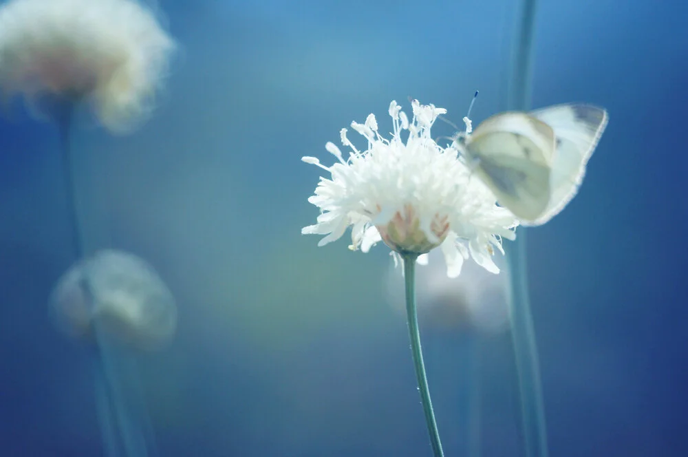 【Mindfulness of Death 念死无常】The causes of death are very many and the causes of life, few 死缘极多，活缘少者          