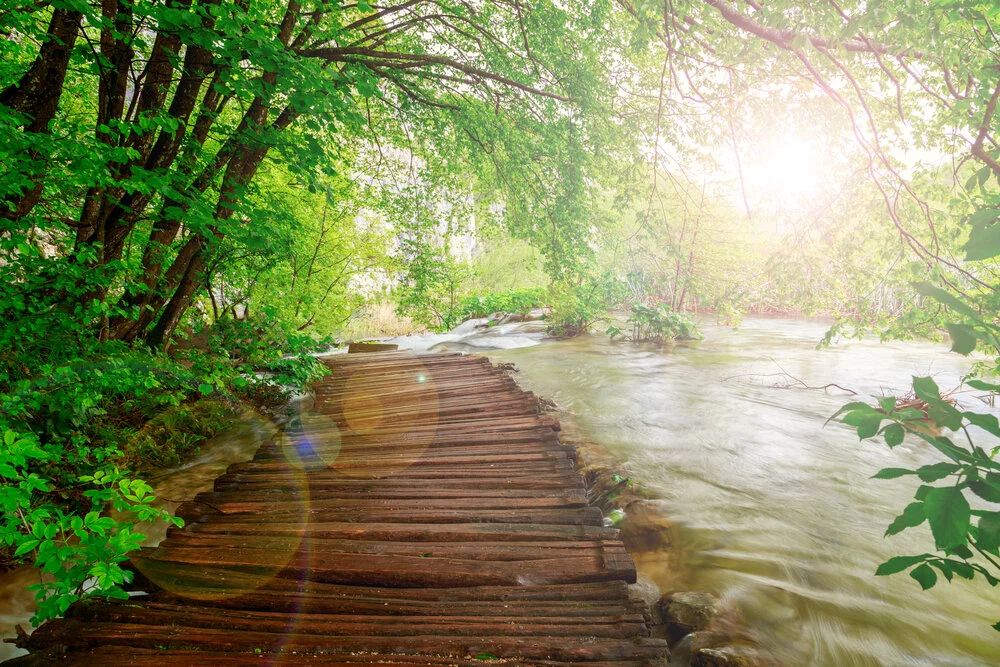 【Mindfulness of Death 念死无常】The causes of death are many, those of staying alive are few 死缘极众多，活缘唯少许  