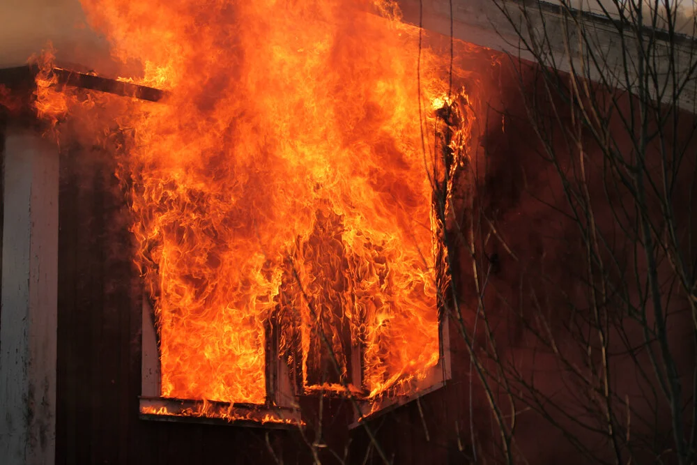 【Mindfulness of Death 念死无常】There is no certainty as to when the Lord of Death will destroy your body and life不见死主何时决定坏其身命  