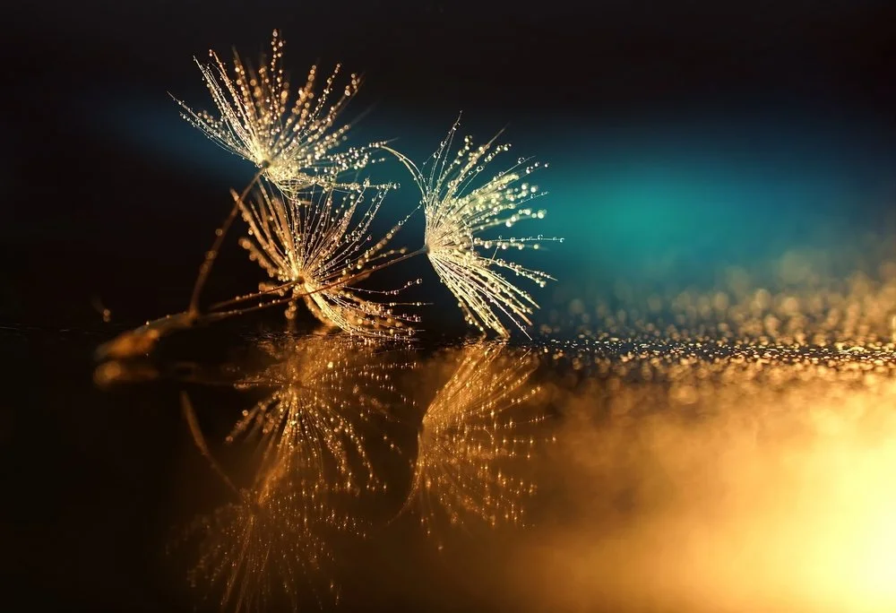 【 Reflecting on your Future Life 三恶趣苦】Karma makes the decision (for you) 业在做主  